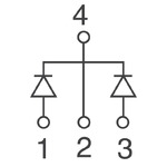 FST30100 Image.
