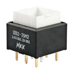 UB225SKG036B