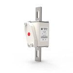 RSZ307-1-T5Z-315A1000V