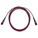 C50-8120-50FT