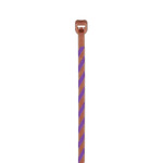 PLT1M-L1-7
