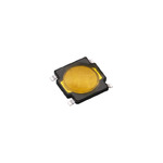 RKA2SGG055SMTR LFS