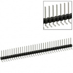 PEC34SGAN