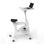 GOTYBY130074WH