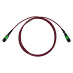 C50G-8162-5M
