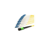 MTF-HK9E2YP003M2C