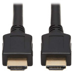 P569-025-CL2