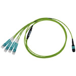 C51-9080-10FT