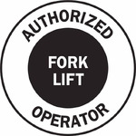 49554