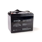 BW 12750 IT (GROUP 24)