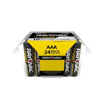 ALAAA-24