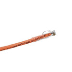 MA-C6O-06-24LSZH-F