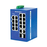 SEC318-2SFP-T