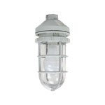 HAL-CRNM-100W-120V-PND