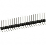 PEC21SGAN