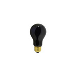 2PAK:WW-A8B7-2