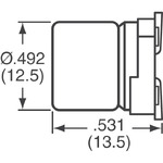 EMVY101ARA101MKE0S Image.