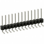 PEC13SGAN