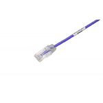 MM-X6U-10-28LSZH-F