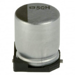 EMVH100ARA101MF80G