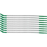 SCN09-V