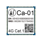 CA-01