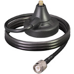 ANT-MAG-RPSF-TNCM-1