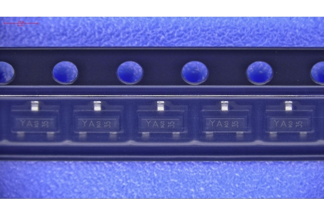 24020031