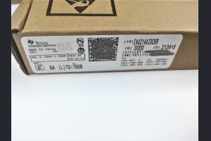 21100063