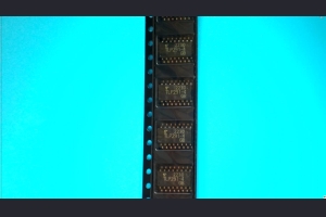 B.202300273