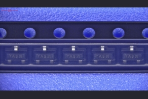 24020031