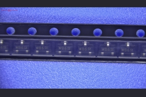 23090007