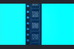 0005636