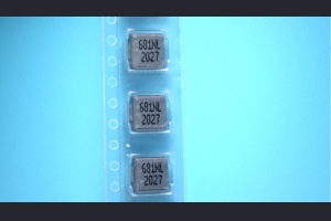 25040010