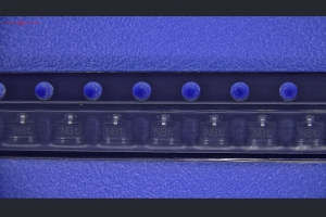 23060059
