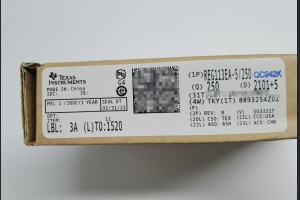 REG113EA-5/250