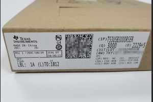 TS3USB3000RSER