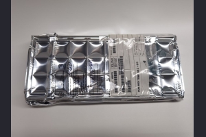 XC2S300E-6PQ208C